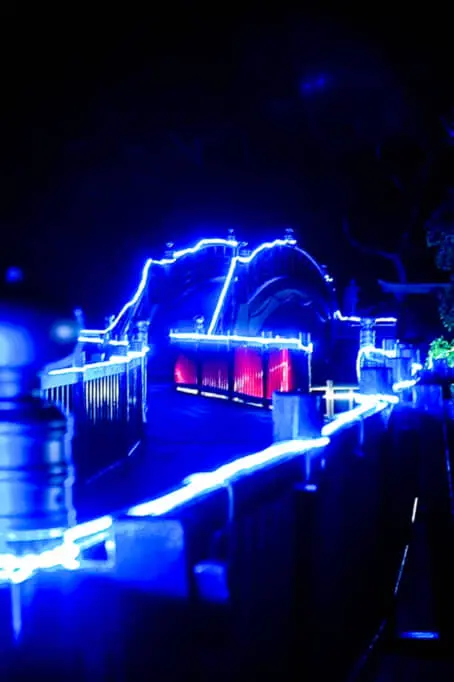 2024-2025】いちき串木野市・なぎさ公園イルミネーション開催中