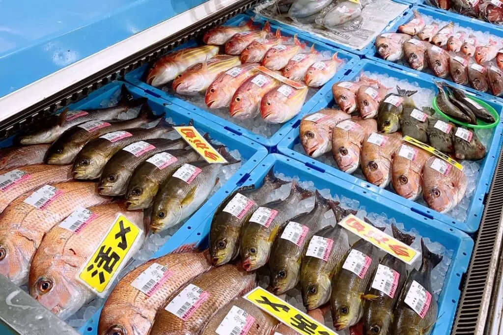 魚屋 市来えびす市場】鮮度抜群の海の恵みを堪能！食のまち・いちき串木野