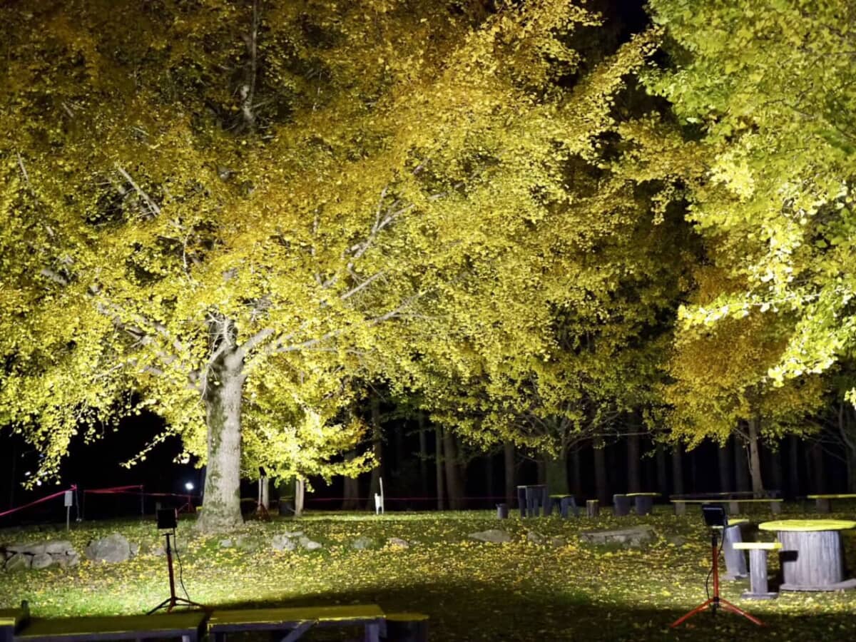 最新版】いちき串木野・薩摩川内で今見ごろの紅葉スポット3選 | 吹上浜